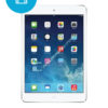 iPad-Mini-2-Software-Herstelling